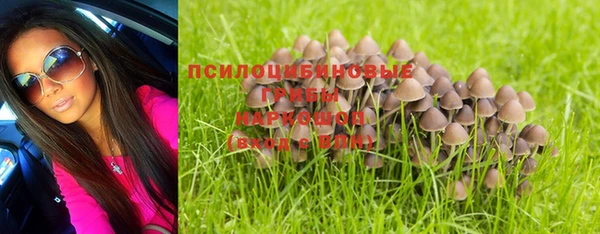 стафф Аркадак