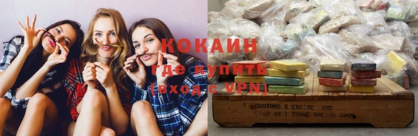 стафф Аркадак