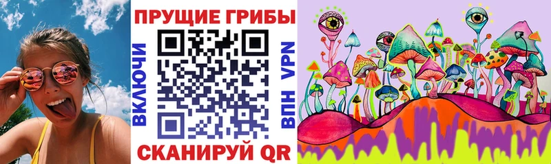 Псилоцибиновые грибы GOLDEN TEACHER  blacksprut вход  Ирбит 